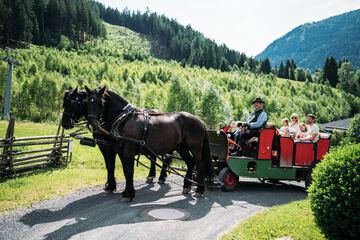 Horseback riding