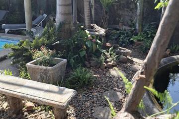 Photo 29