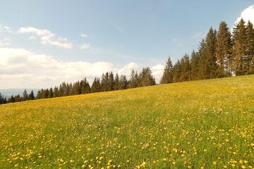 Hiking