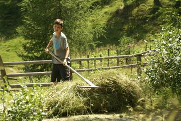 Photo 47