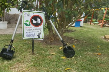 Pet-friendly