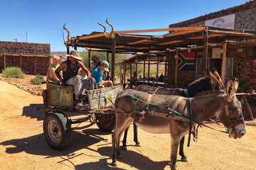 Ecotours
