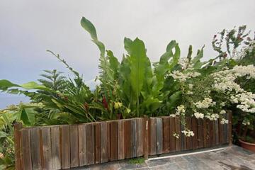 Photo 39