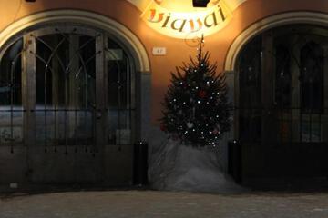 Photo 30