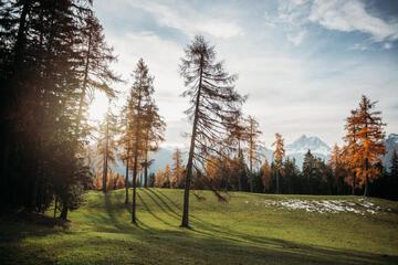 Photo 100