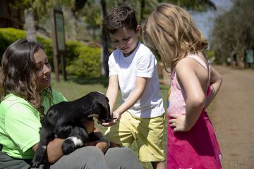 Children's activities