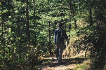 Hiking