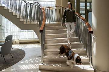 Pet-friendly