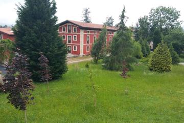 Photo 40