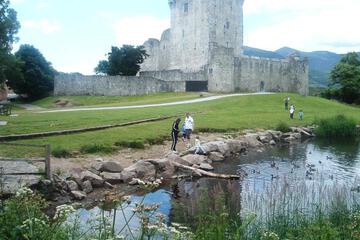 Photo 40