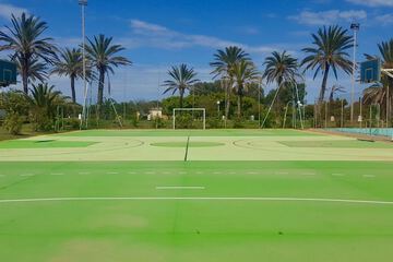 Basketball court