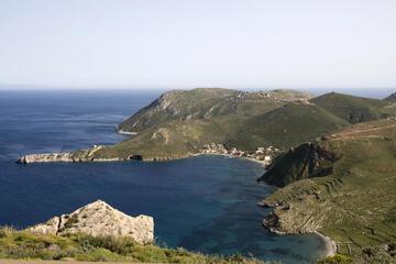 Photo 31