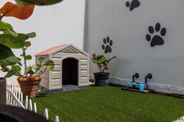 Pet-friendly amenities