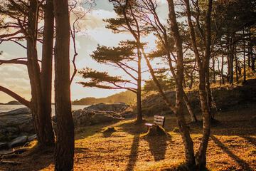 Hiking