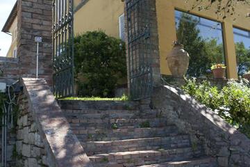 Photo 37