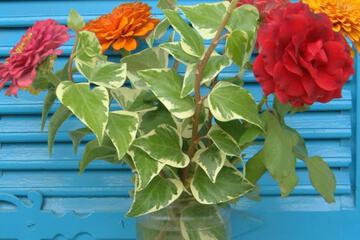 Photo 25