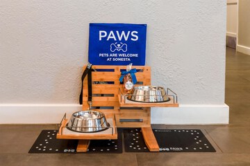 Pet-friendly amenities