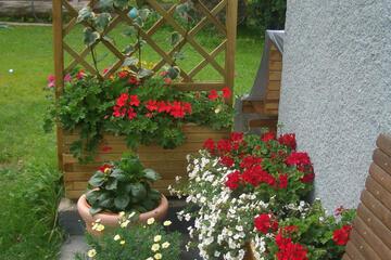 Photo 66