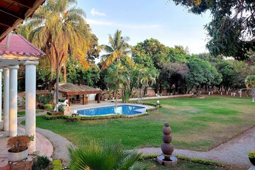 Garden view