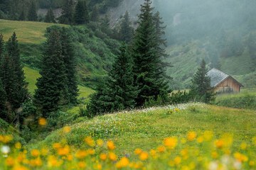 Hiking