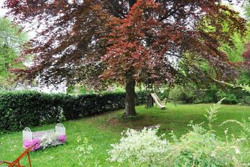 Photo 35