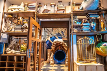 Children's play area - indoor
