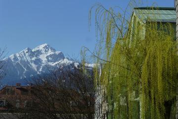Photo 38