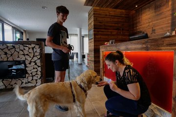 Pet-friendly