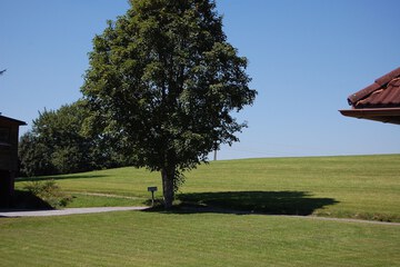 Sports facility