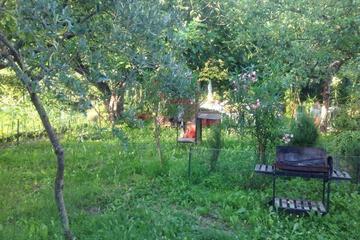 Photo 47