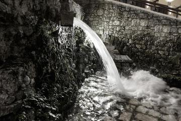 Photo 39