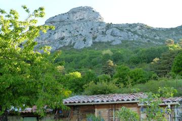 Photo 36