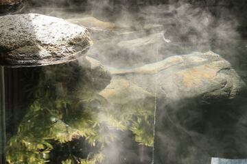 Hot springs