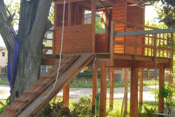 Photo 38