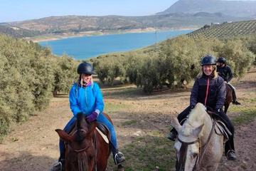 Horseback riding