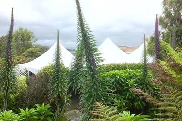 Outdoor wedding area