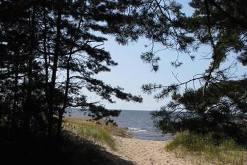 Photo 32
