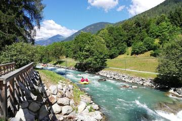 Photo 44