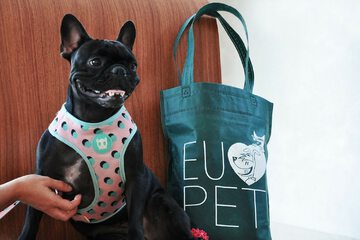 Pet-friendly
