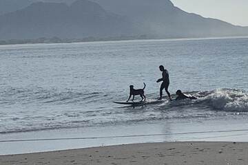 Surfing/boogie boarding
