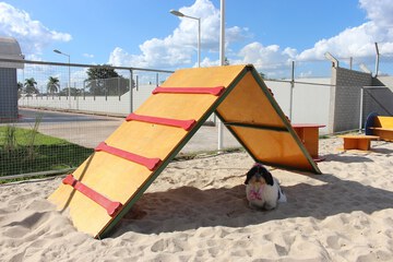 Pet-friendly amenities
