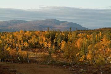 Photo 47