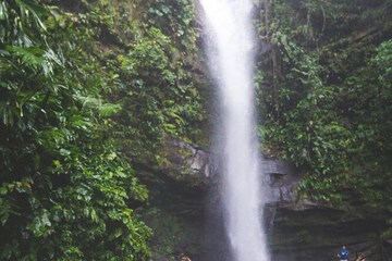 Ecotours