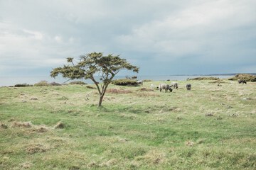 Land view from property