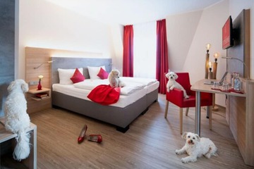 Pet-friendly