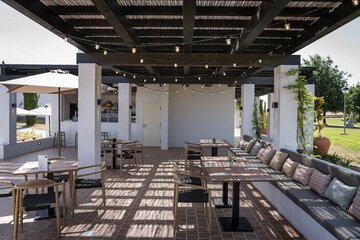 Swim-up bar