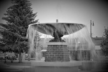 Photo 49