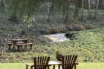 BBQ/picnic area