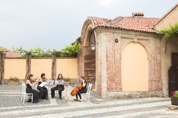 Outdoor wedding area
