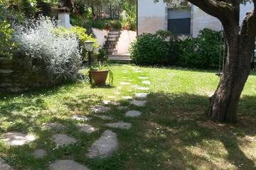 Photo 64